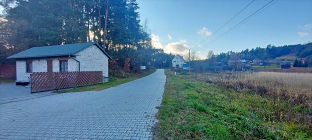 Działka rolna na sprzedaż Bliżów 18 700m2 Foto 5