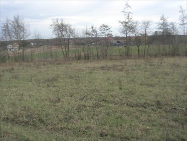 Działka 1000 m² z mediami, blisko Wrocławia - polecam! działka Iwiny