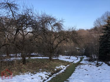 Działka budowlana na sprzedaż Kąkolówka 2 174m2 Foto 2