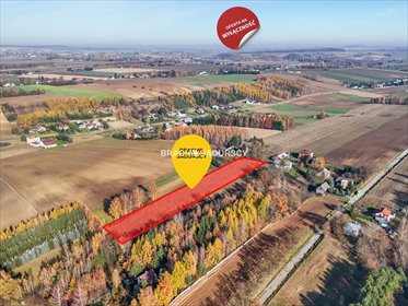 działka na sprzedaż 6000m2 działka Przesławice