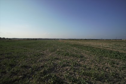 Duża działka 0,94 ha pod usługi lub zabudowę mieszkaniową działka Długie