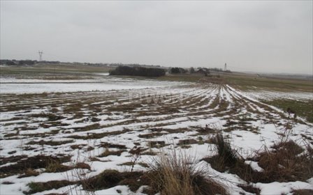 działka na sprzedaż 8850m2 działka Pińczyce, Pińczyce