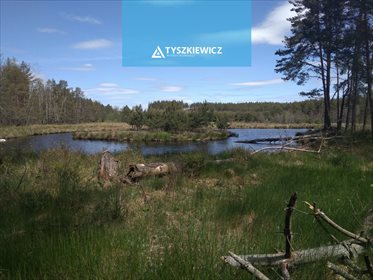 Działka siedliskowa na sprzedaż Studzienice, Prądzonka 34 000m2 Foto 1