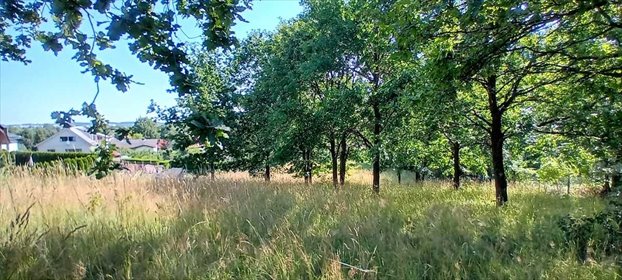 działka na sprzedaż 5612m2 działka Szczawno-Zdrój