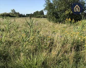 działka na sprzedaż 3930m2 działka Grodzisk Mazowiecki
