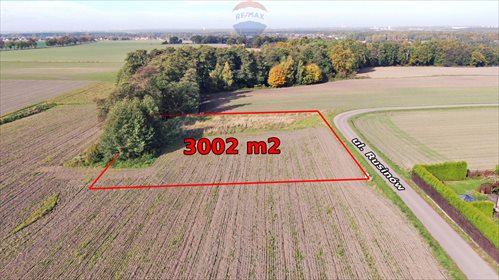 działka na sprzedaż 3002m2 działka Mikołów, Rusinów