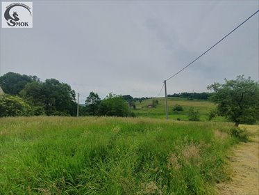 działka na sprzedaż 4400m2 działka Włosań