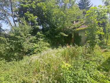 dom na sprzedaż 50m2 dom Częstoborowice