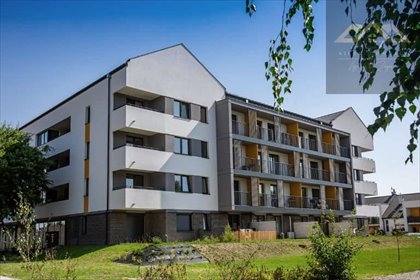 mieszkanie na wynajem 46m2 mieszkanie Tarnów