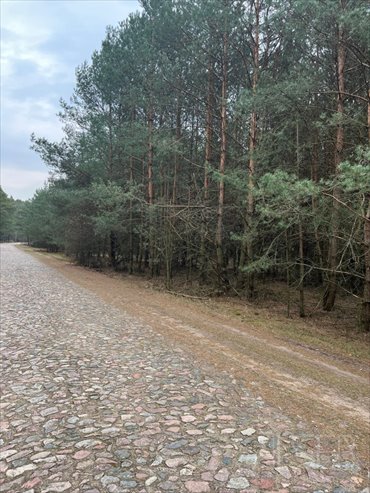 działka na sprzedaż 14900m2 działka Dębienica