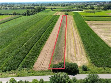 działka na sprzedaż 3000m2 działka Popędzyna