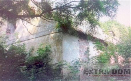 Lokal użytkowy na sprzedaż Dobrzyń Nad Wisłą 760m2 Foto 6