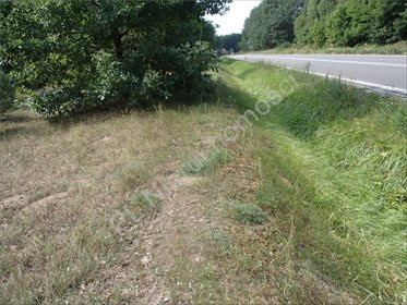 Działka rolna na sprzedaż Osęczyzna 2 200m2 Foto 2
