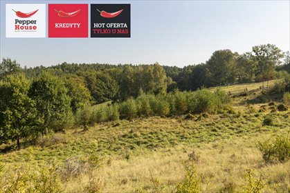 działka na sprzedaż 1000m2 działka Huta Dolna