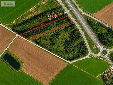 Działka inwestycyjna pod obsługę podróżnych, 10 501 m2 działka Turowo