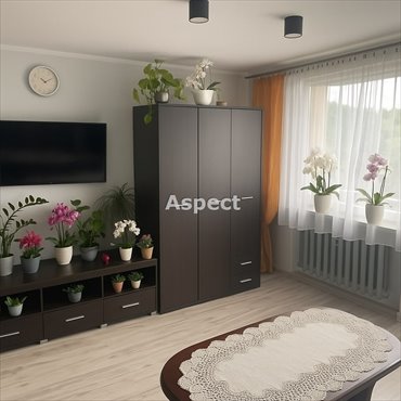 mieszkanie na sprzedaż 53m2 mieszkanie Jastrzębie-Zdrój