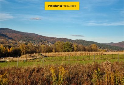 działka na sprzedaż 1085m2 działka Pietrzykowice, Szkolna