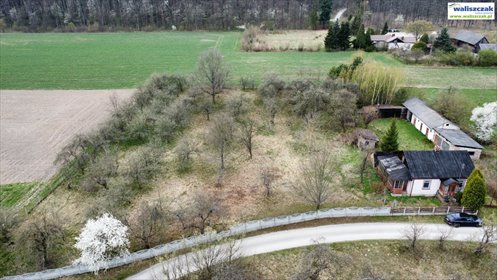 Urokliwa działka 5700 m² z domkiem, drzewami owocowymi działka Honoratów