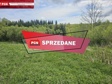 działka na sprzedaż 5200m2 działka Łężyce