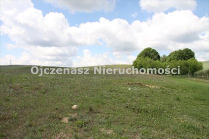 działka na sprzedaż 7600m2 działka Pędzewo
