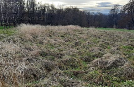 Działka budowlana na sprzedaż Łyczanka 2 600m2 Foto 3
