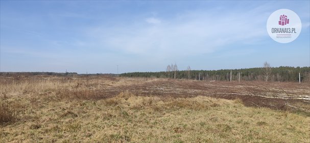 Działka inwestycyjna na sprzedaż Gronity, Gronity 4 888m2 Foto 2