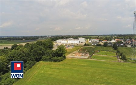 działka na sprzedaż 17714m2 działka Dębno Polskie, Truskawkowa