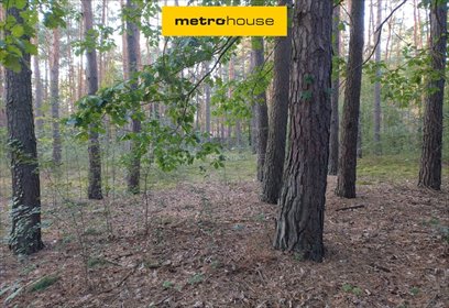 Sprzedam działkę 2274 m² z domkiem w Popowo-Parcele działka Popowo-Parcele