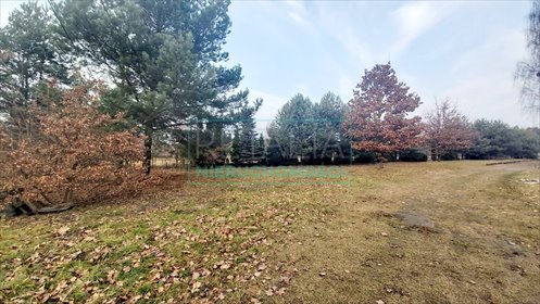 działka na sprzedaż 7700m2 działka Budy Michałowskie