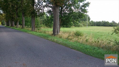 Działka rolna 5000 m² przy drodze w Kołczewie. działka KOŁCZEWO OKOLICA, okolica - 2 km