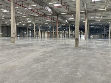 magazyn na wynajem 3500m2 magazyn Mszczonów