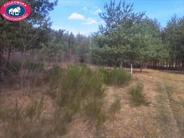 Atrakcyjne działki budowlane w Tłumy, 2400 m²+ działka Tłumy