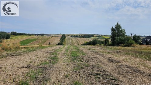 działka na sprzedaż 4800m2 działka Cianowice Duże