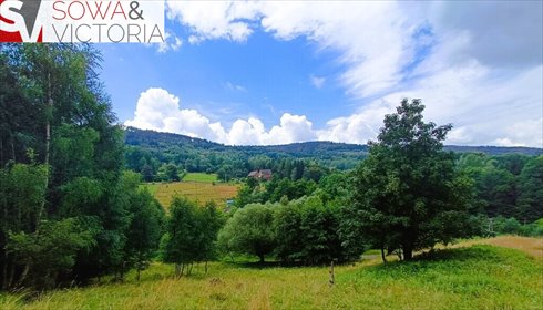 działka na sprzedaż 5500m2 działka Jugowice