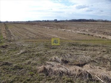 działka na sprzedaż 3900m2 działka Konstancin Jeziorna, Bielawa