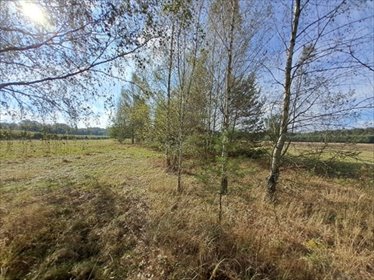 działka na sprzedaż 11100m2 działka Stanisławów, Stanisławów