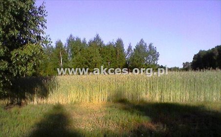 działka na sprzedaż 3374m2 działka Żabianka