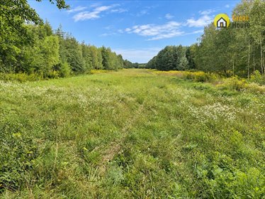 Działki rolne 2,19 ha w Szczekach - pod uprawę i nasadzenia działka Szczeka
