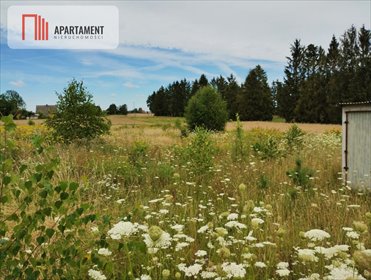 Działka 3572 m² z warunkami zabudowy, lasem i jeziorem - polecam! działka Lubińsk