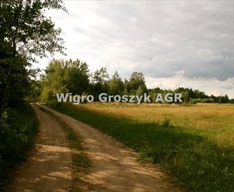 Działka rolna na sprzedaż Wrzosówka 10 500m2 Foto 4