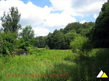 Działka 5138 m2 pod zabudowę w Baworowie - las, linia drugiej zabudowy działka Leśna, Baworowa, Baworowo