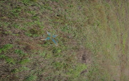 działka na sprzedaż 774m2 działka Czerlejno