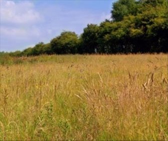 działka na sprzedaż 4200m2 działka Folwarki Wielkie