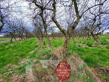 działka na sprzedaż 6300m2 działka Motycz