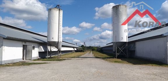 Magazyn na sprzedaż Samborowo 7 900m2 Foto 3