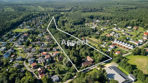 działka na sprzedaż 14130m2 działka Rybnik, Kamień pod Rzędówką