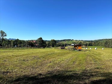 działka na sprzedaż 1271m2 działka Dzianisz