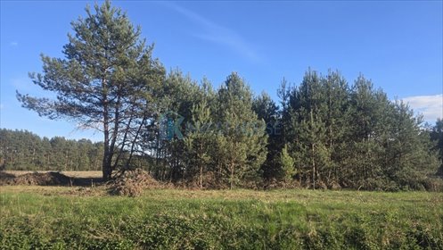 Działka 900 m² pod dom w otulinie lasu, Dąbrówka działka Dąbrówka