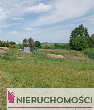 działka na sprzedaż 1169m2 działka Wierzbna