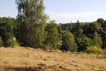 Działka budowlana na sprzedaż Miłoszów 6 500m2 Foto 7